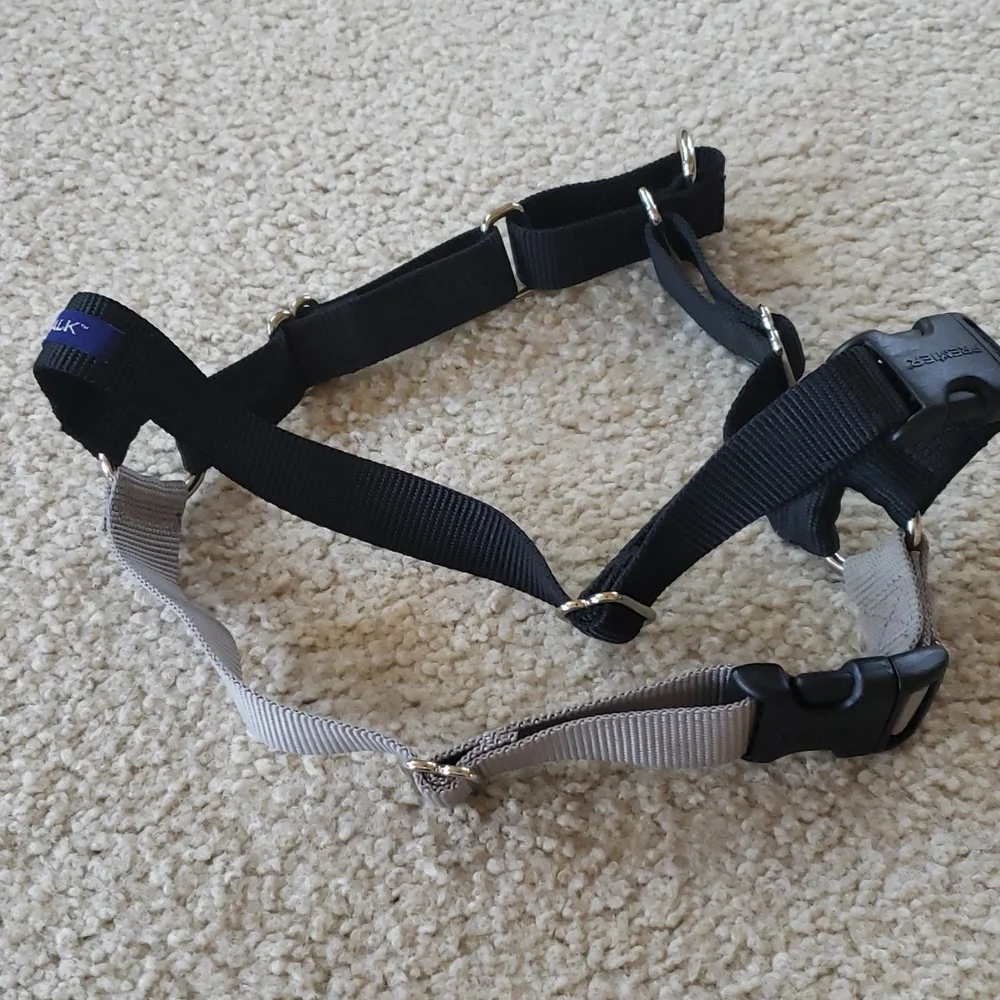 Pet Safe Easy Walk Dog Harness